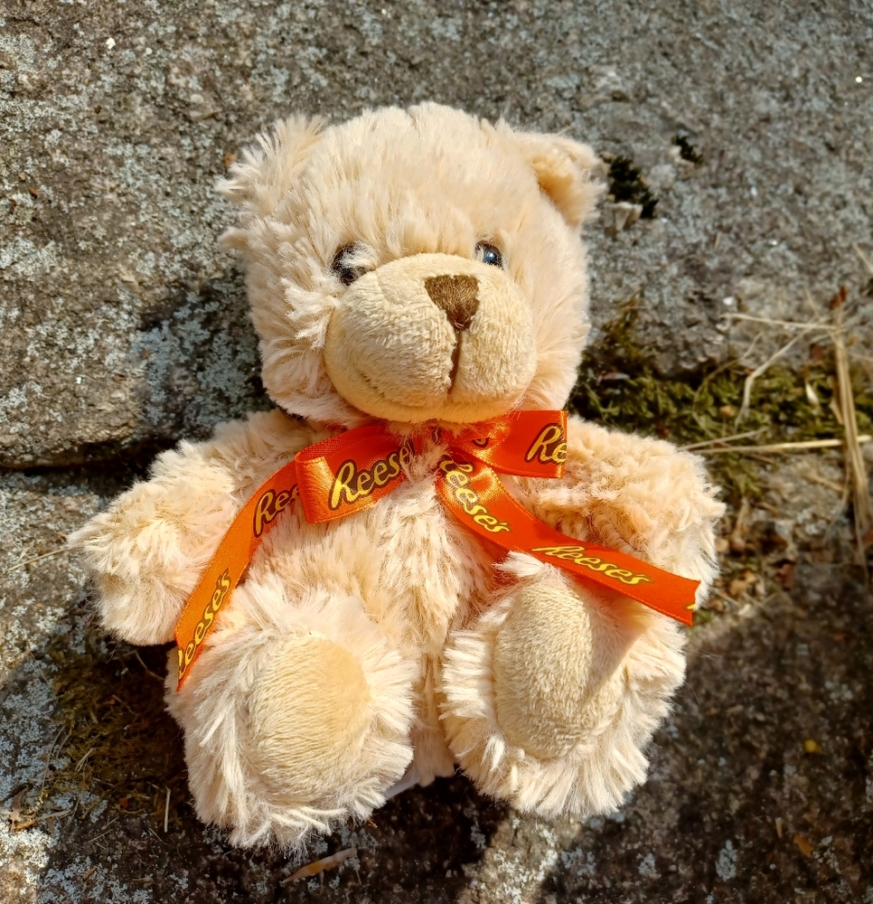 ✓Reeces Peanut Butter Cups Plush Teddy Bear